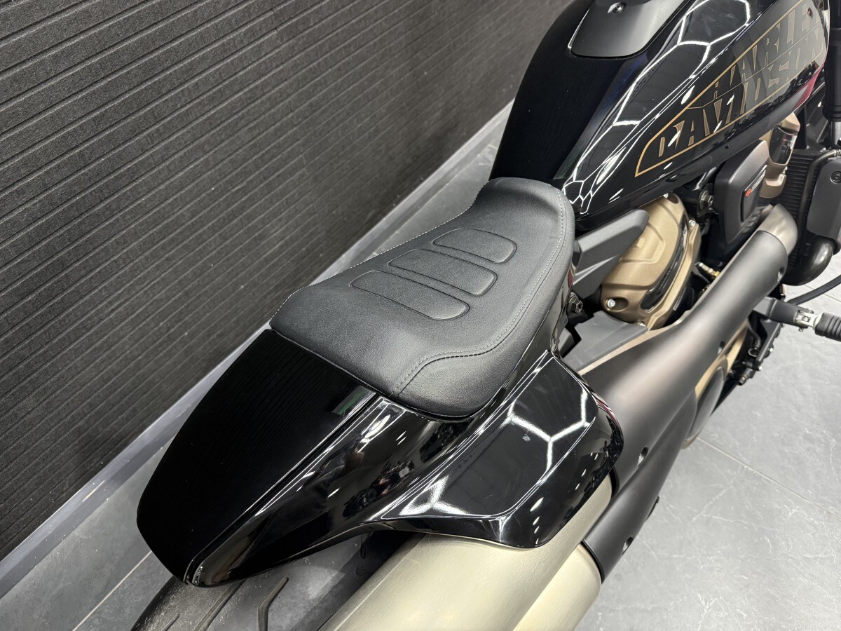 Harley-Davidson SPORTSTER S 22