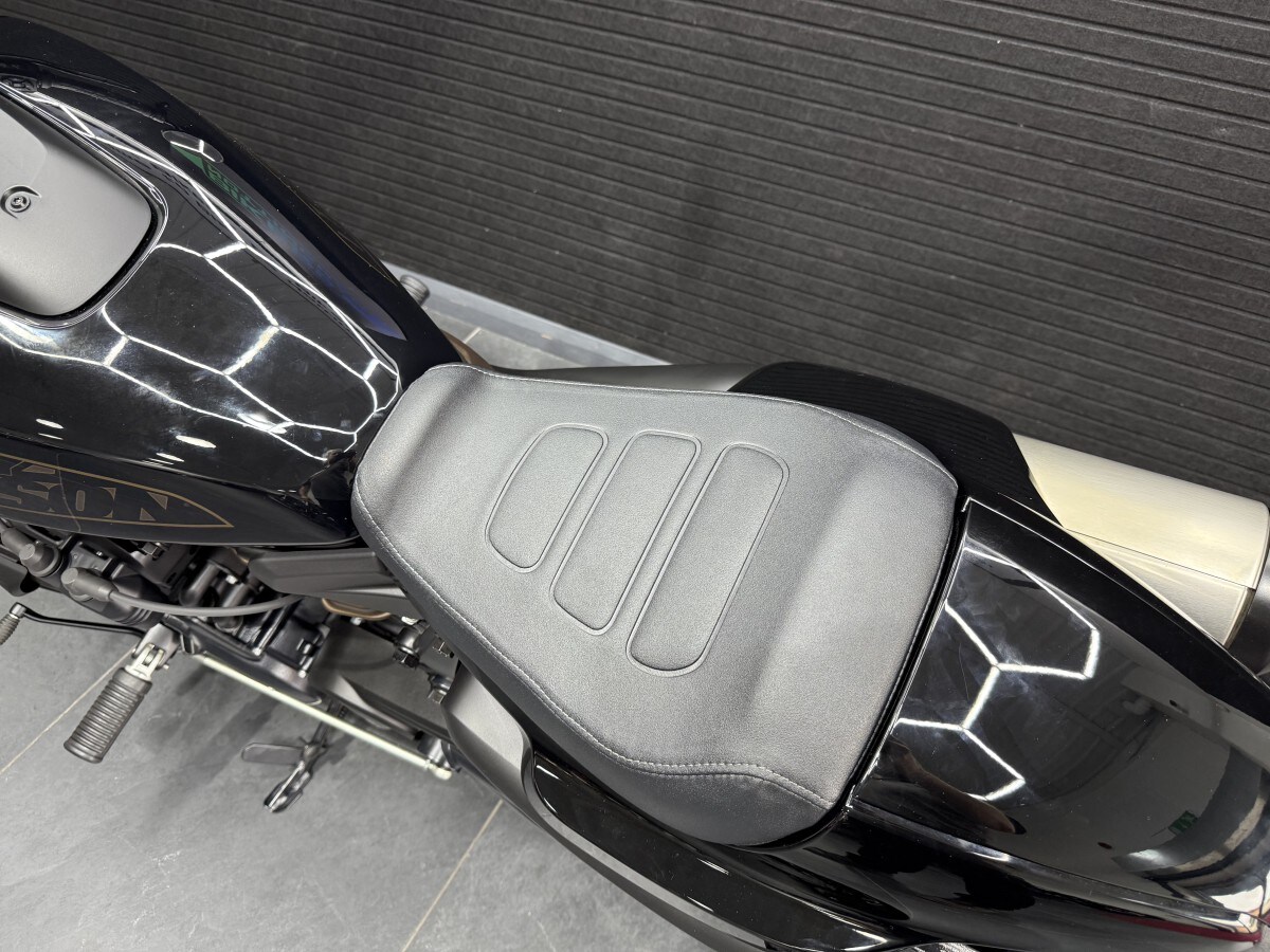 Harley-Davidson SPORTSTER S 22