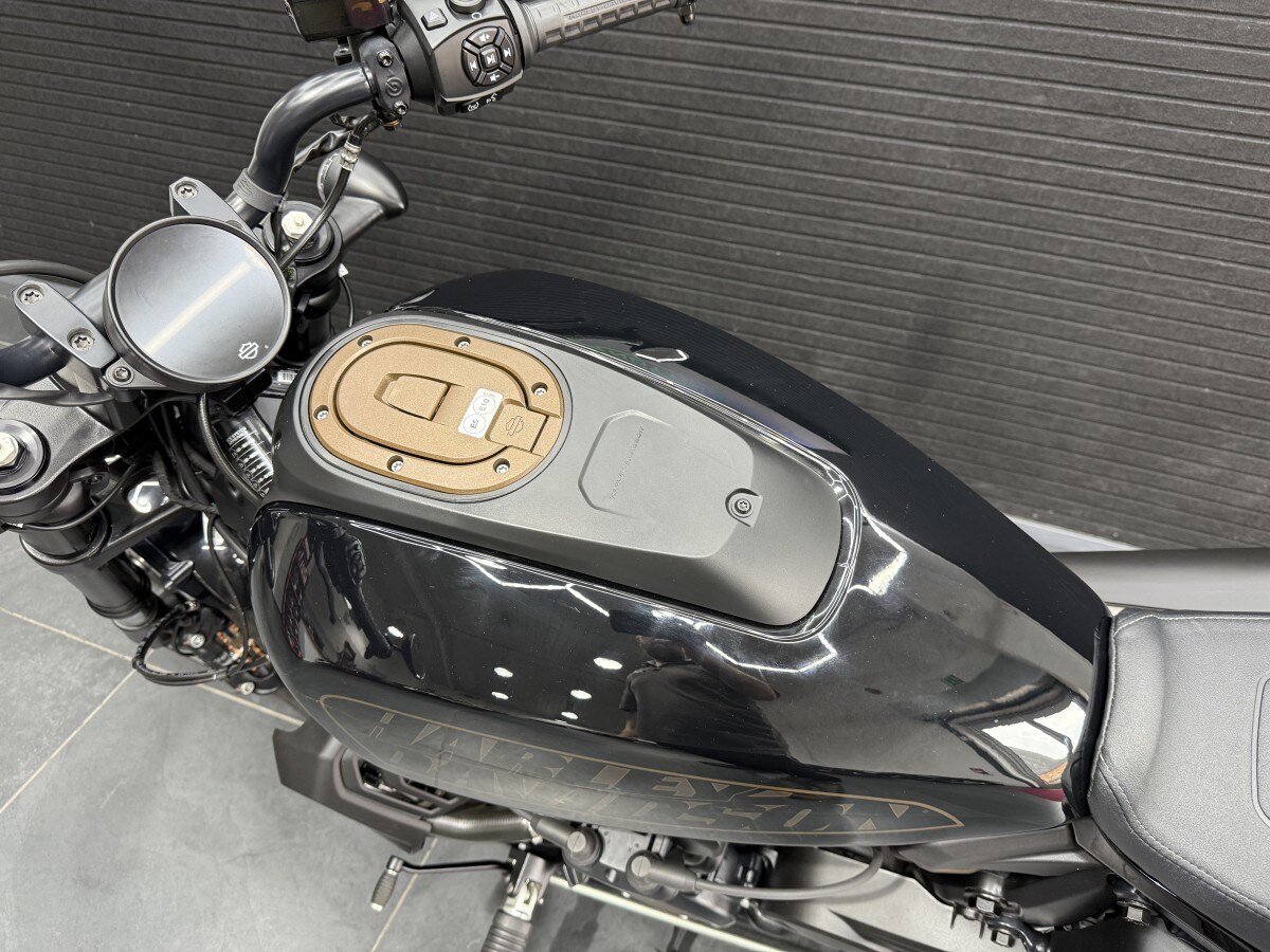 Harley-Davidson SPORTSTER S 22