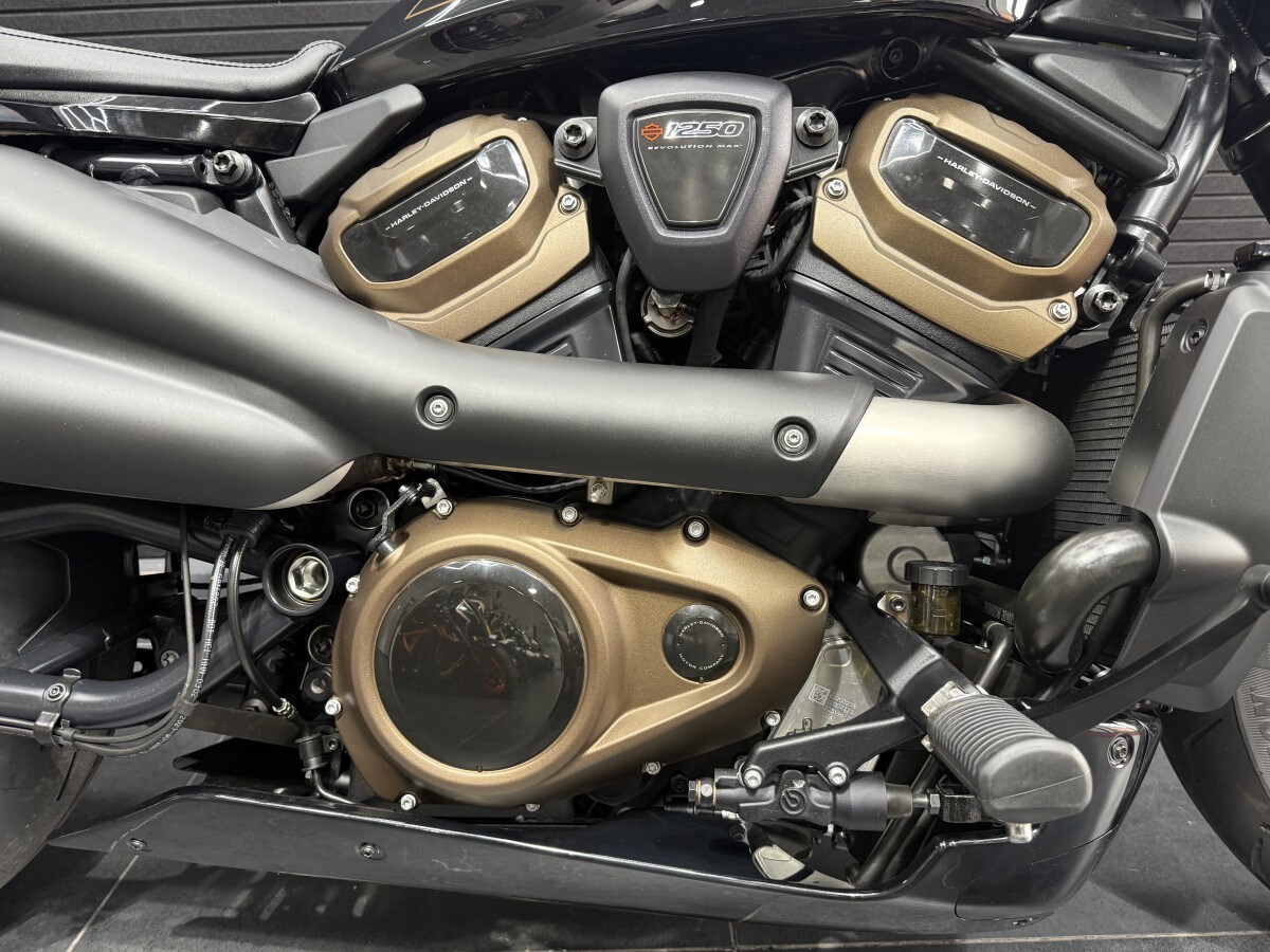 Harley-Davidson SPORTSTER S 22