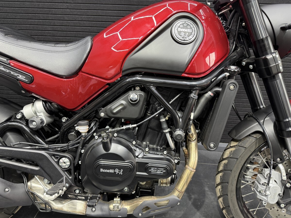 Used Benelli Leoncino 500 Trail 2022 for sale - 78165204: Photo 3