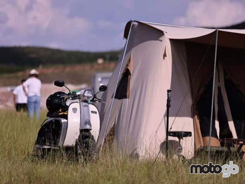 Royal Alloy TG 300 LC