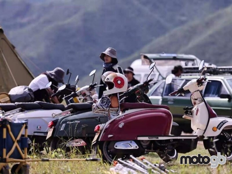 Royal Alloy TG 300 LC