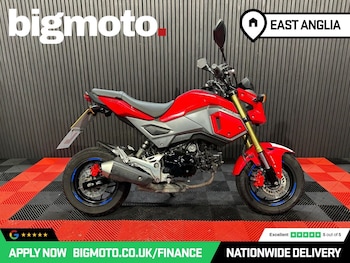Used Honda MSX125 undefined for sale - bike-78435756: Photo