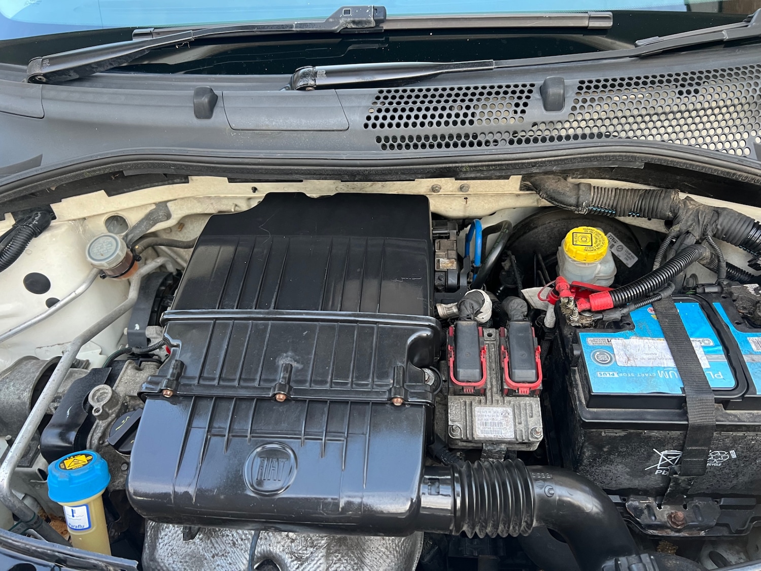 Used Fiat 500 2011 for sale - 76707384: Photo 19