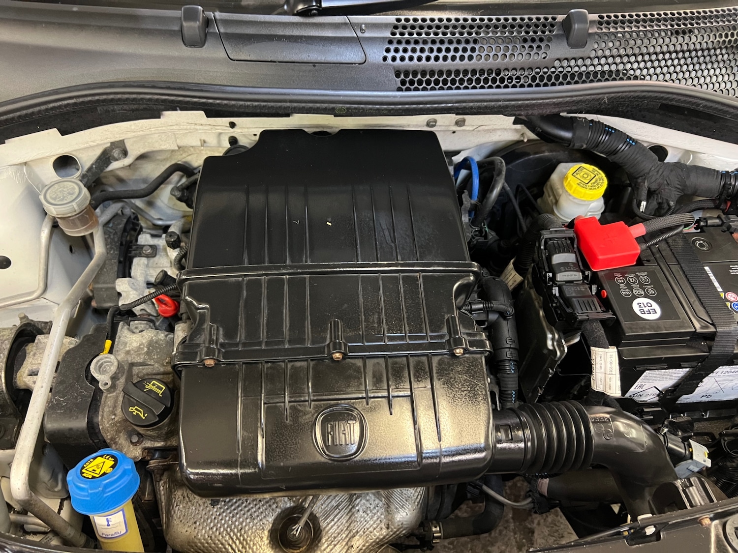 Used Fiat 500 2016 for sale - 77691137: Photo 27