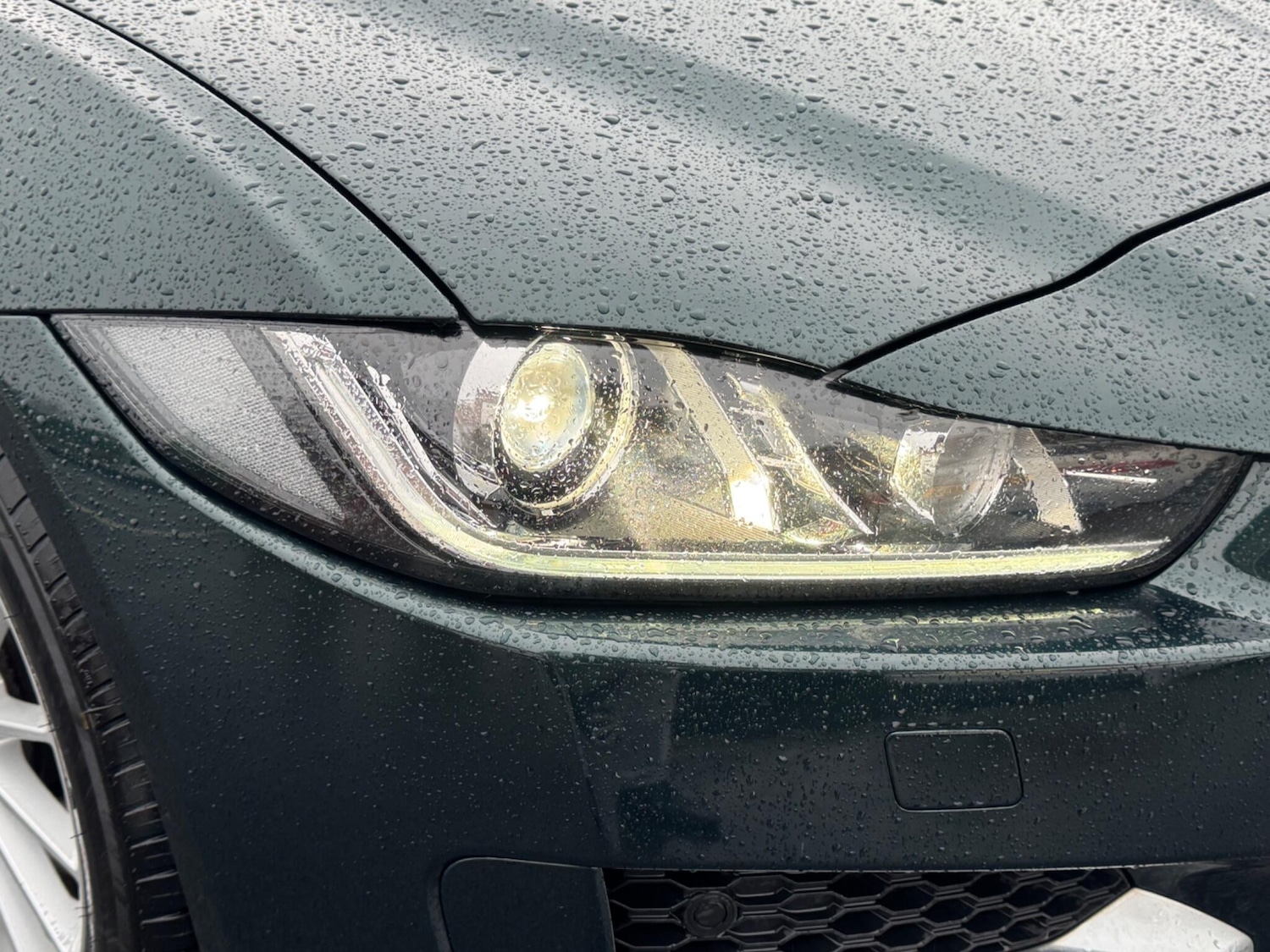 Used Jaguar XE 2016 for sale - 76824785: Photo 32