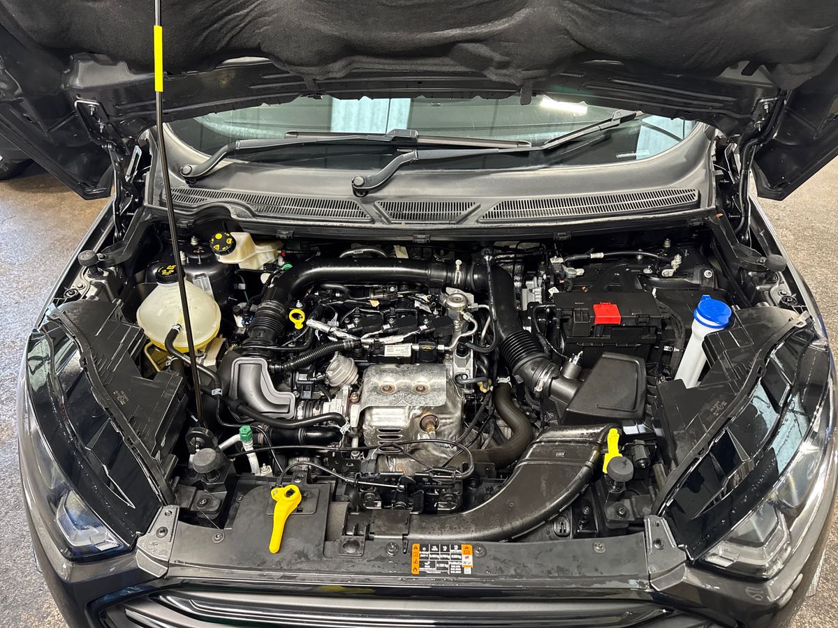 Vehicle 33