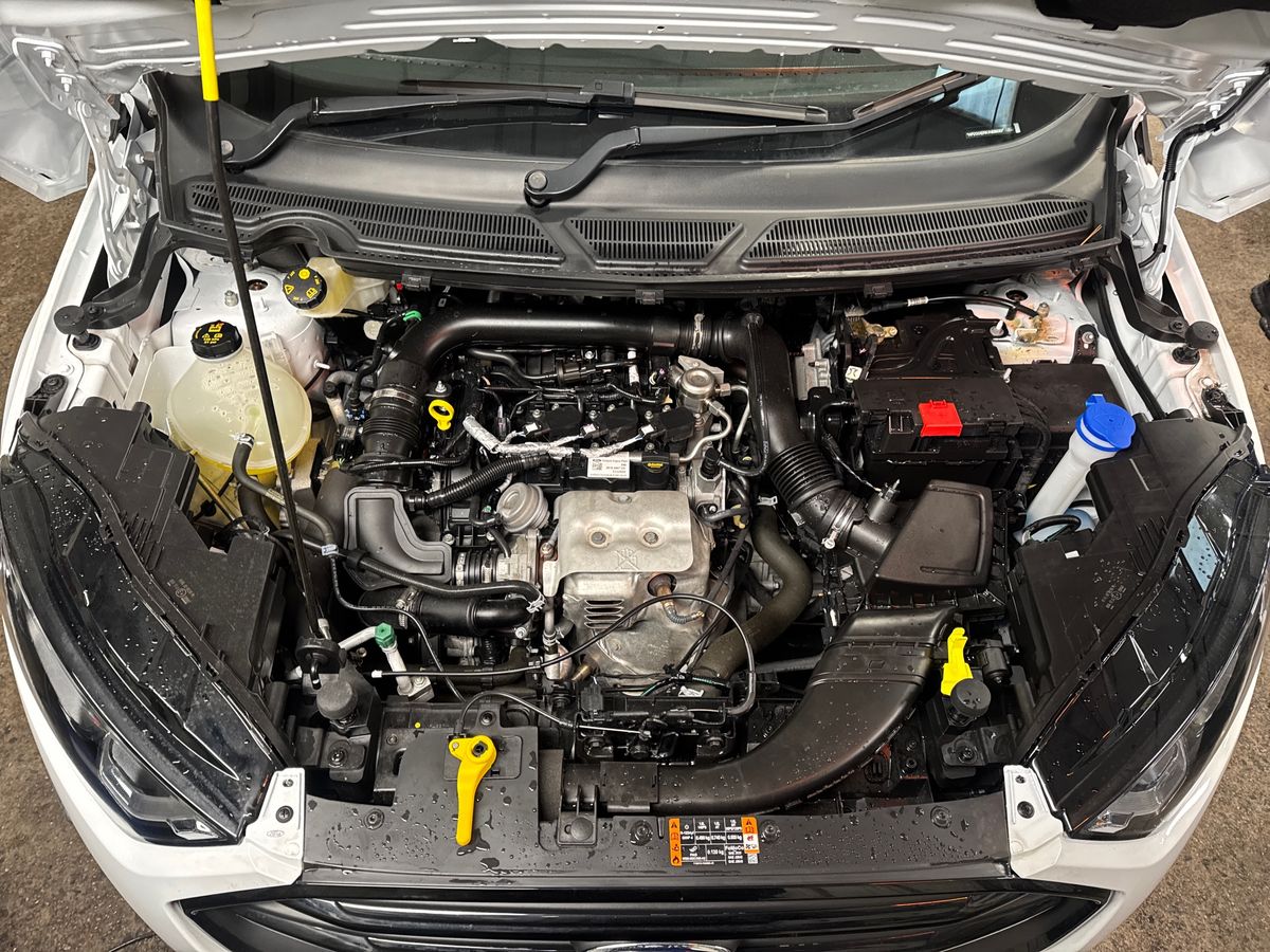 Used Ford Ecosport 2023 for sale - 77010255: Photo 33