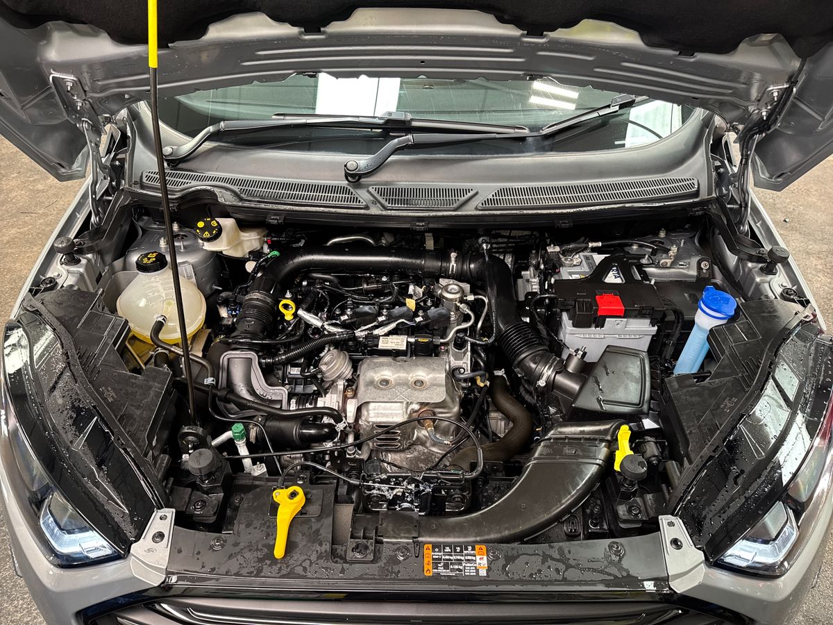 Used Ford Ecosport 2022 for sale - 76948305: Photo 33