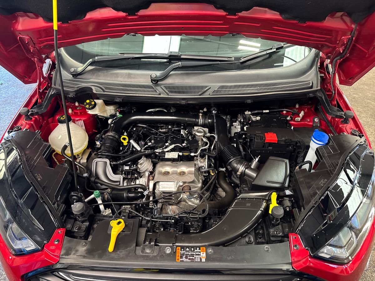 Vehicle 33