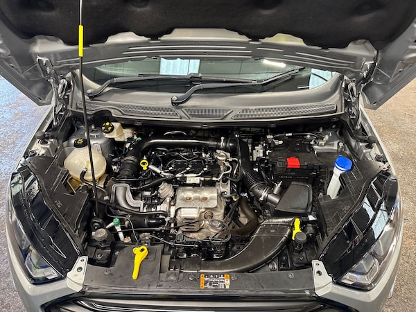 Used Ford Ecosport 2022 for sale - 75796691: Photo 33