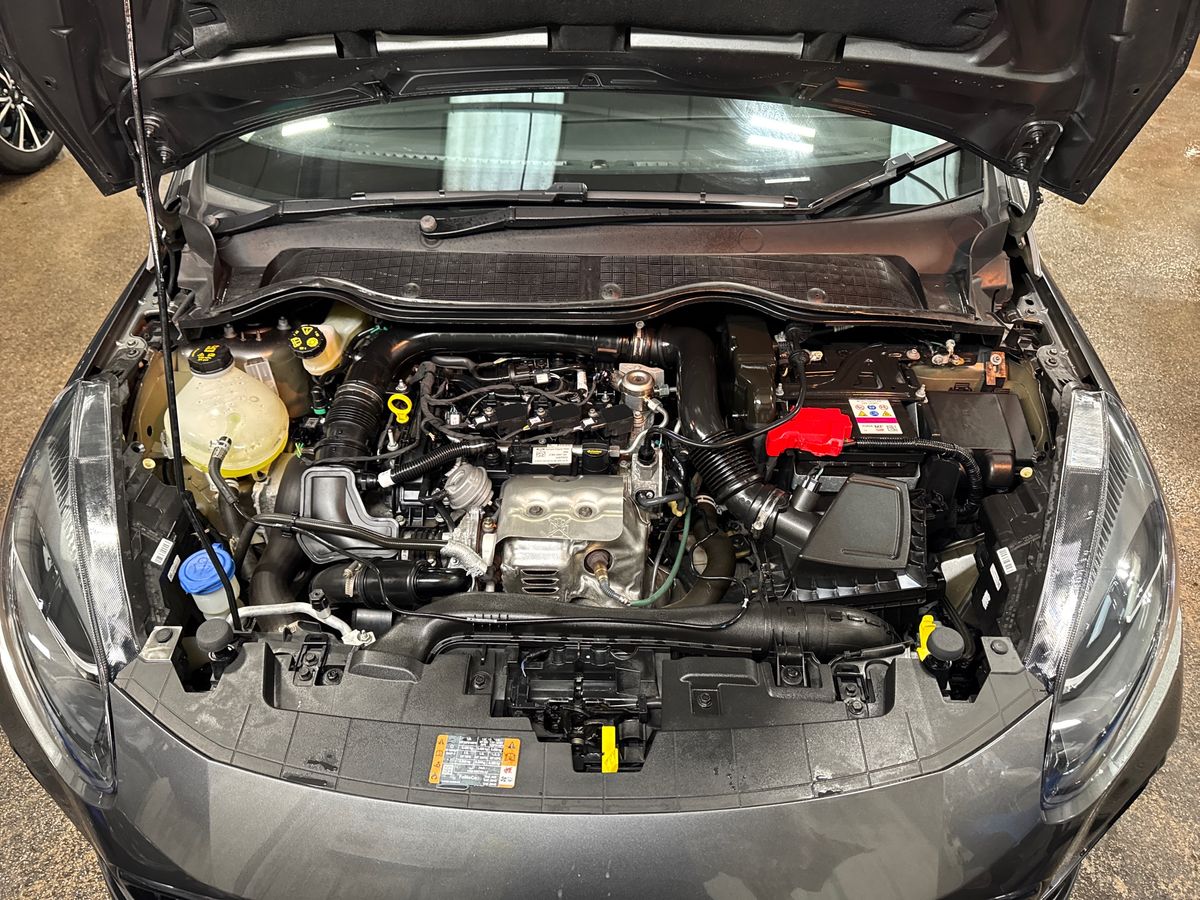 Used Ford Fiesta 2023 for sale - 76999414: Photo 33