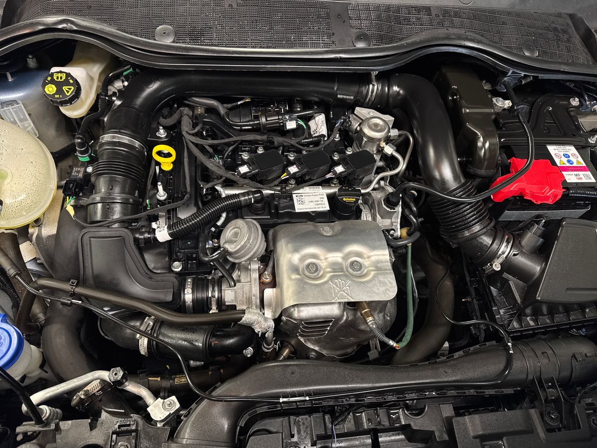 Used Ford Fiesta 2023 for sale - 77786161: Photo 33