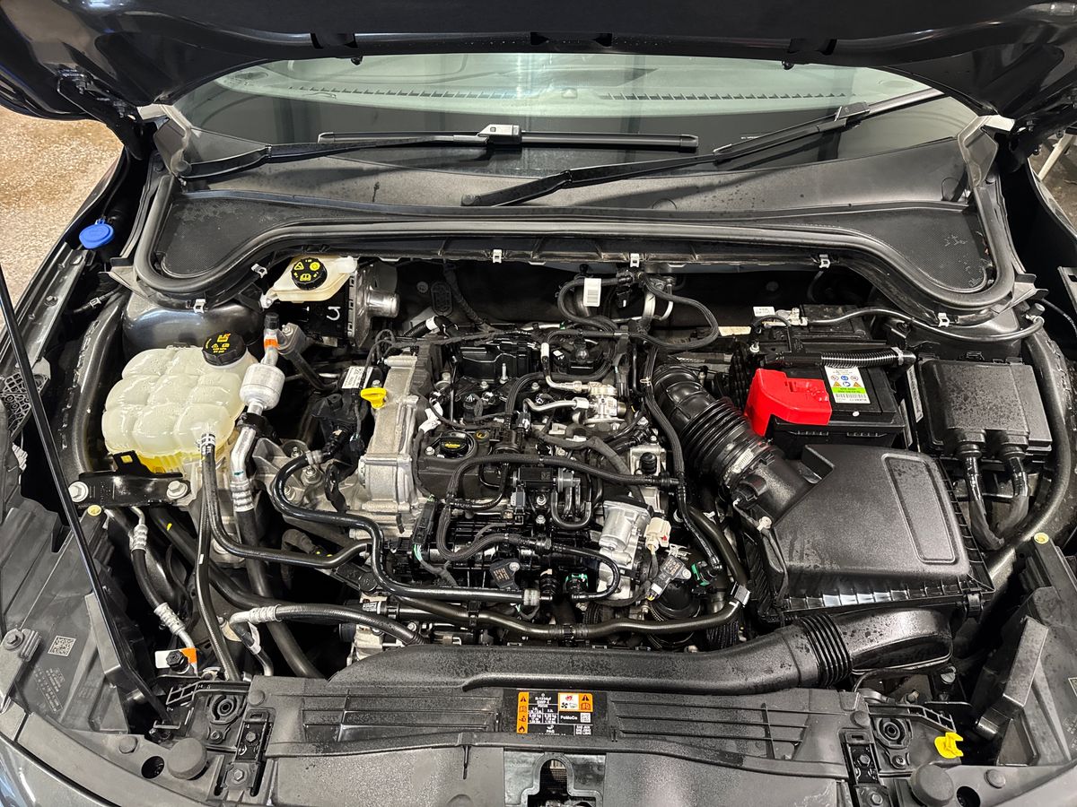 Used Ford Focus 2025 for sale - 76217108: Photo 33