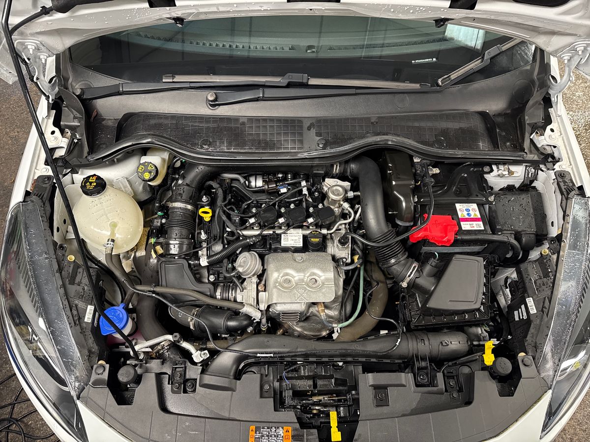 Used Ford Fiesta 2022 for sale - 78009081: Photo 33