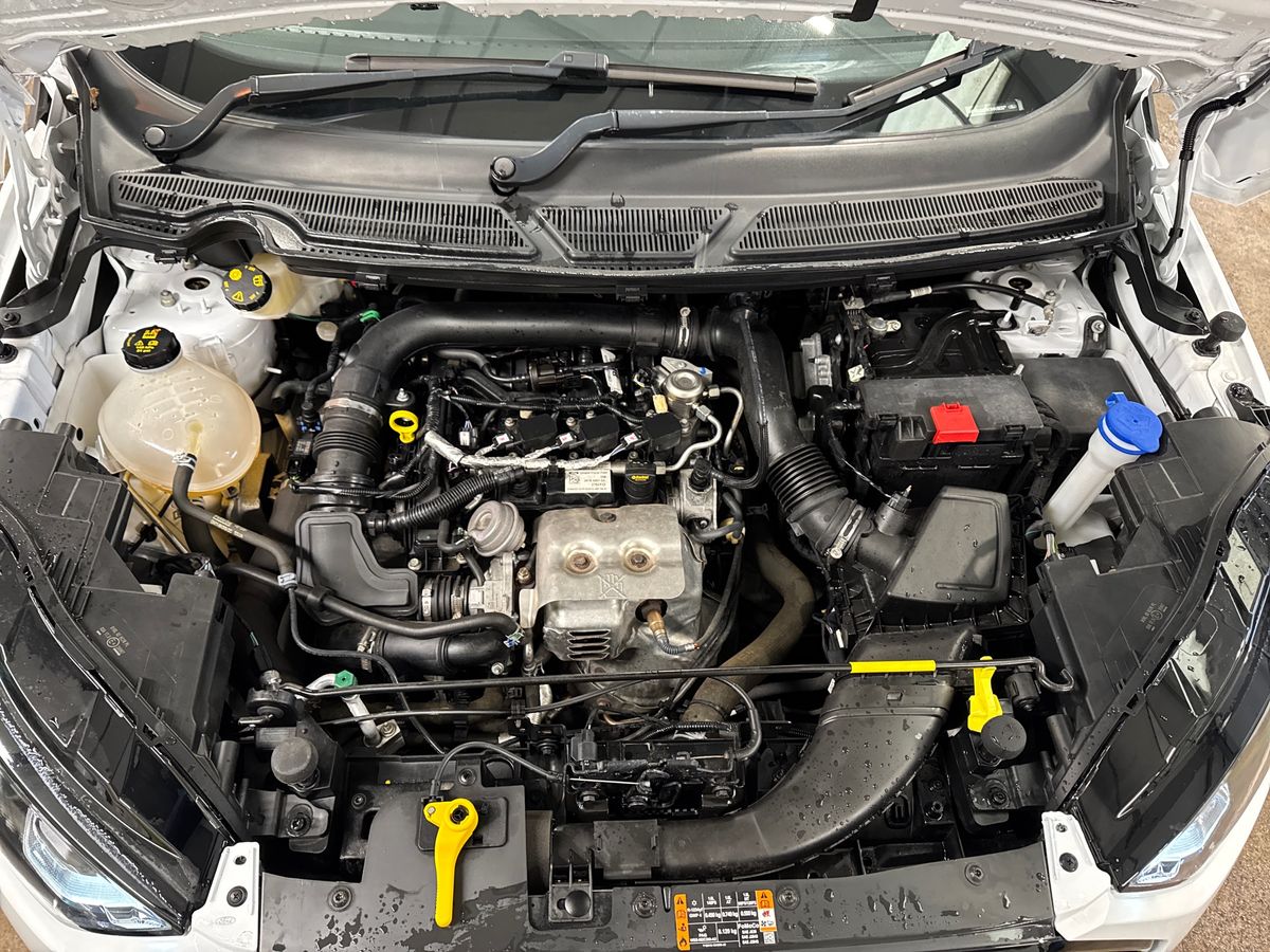 Used Ford Ecosport 2023 for sale - 77442549: Photo 33