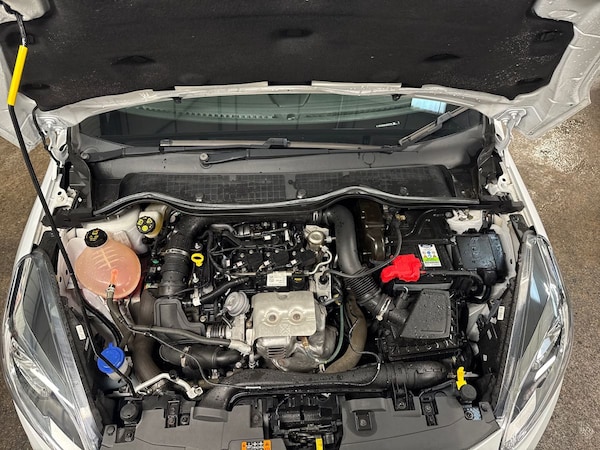 Used Ford Fiesta 2019 for sale - 76203739: Photo 33