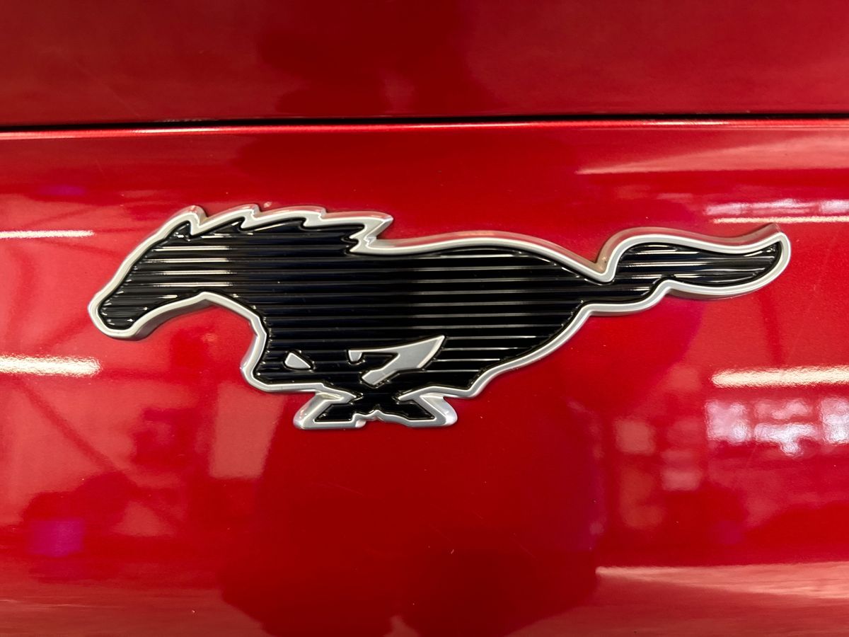 Used Ford Mustang Mach-E 2022 for sale - 76539891: Photo 31