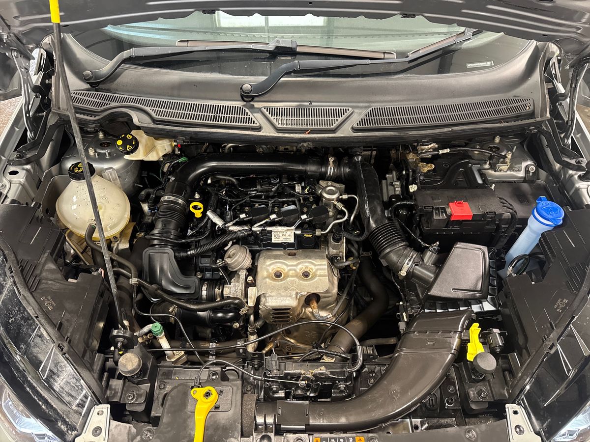 Used Ford Ecosport 2022 for sale - 76338854: Photo 33