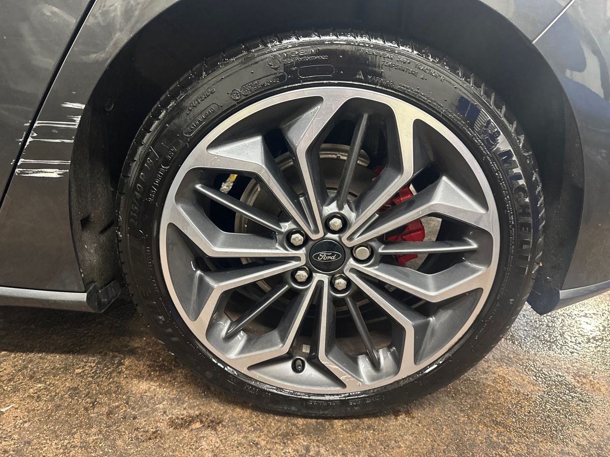 Used Ford Focus 2024 for sale - 77312271: Photo 15