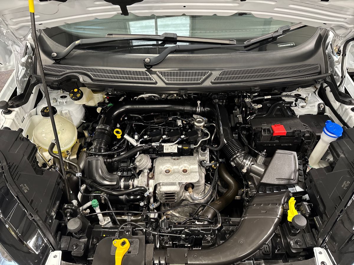 Used Ford Ecosport 2022 for sale - 76289734: Photo 33