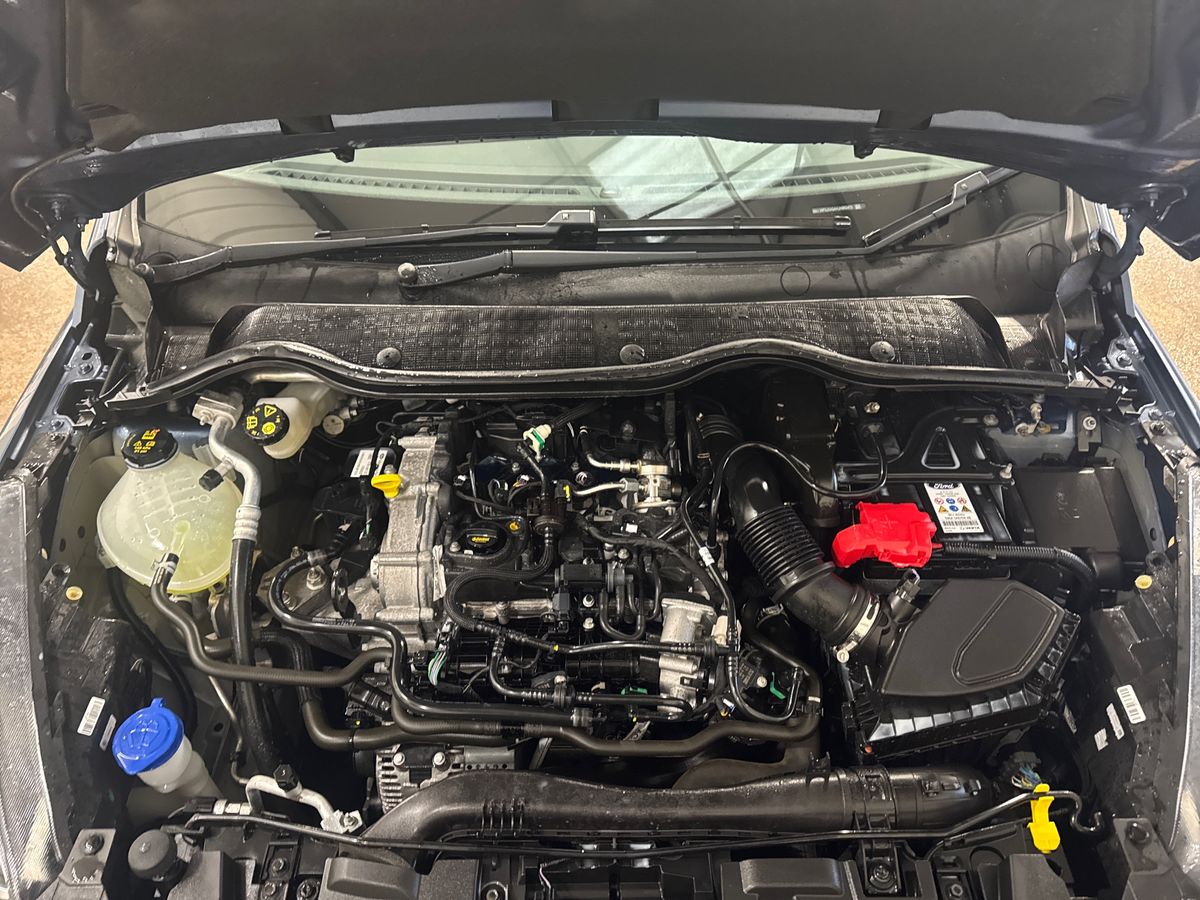 Used Ford Fiesta 2022 for sale - 76881851: Photo 33