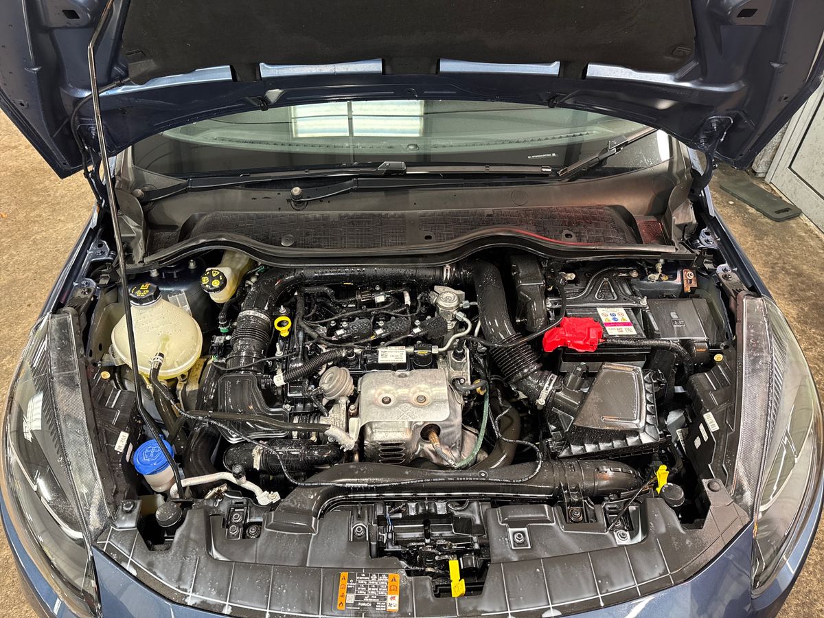 Used Ford Fiesta 2022 for sale - 76661116: Photo 33