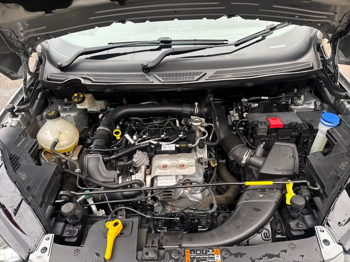 Used Ford Ecosport 2023 for sale - 77786142: Photo 33