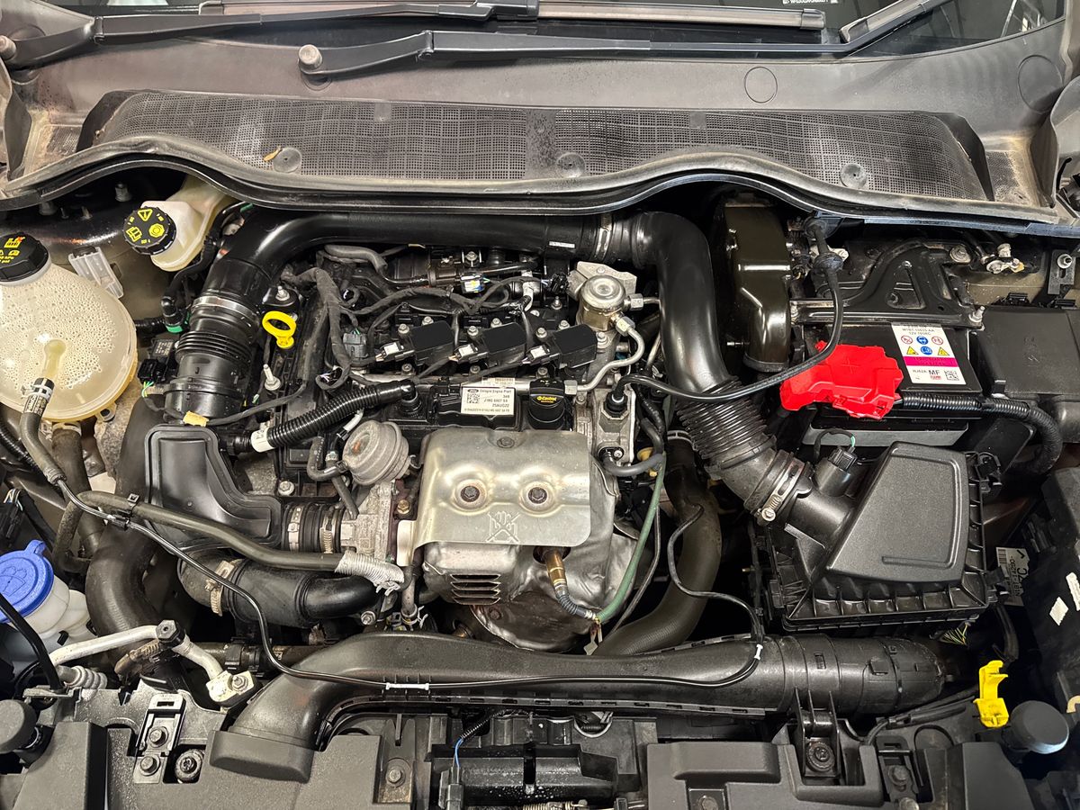 Used Ford Fiesta 2022 for sale - 77678813: Photo 33