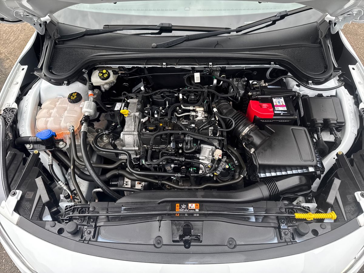 Used Ford Focus 2023 for sale - 78187012: Photo 33