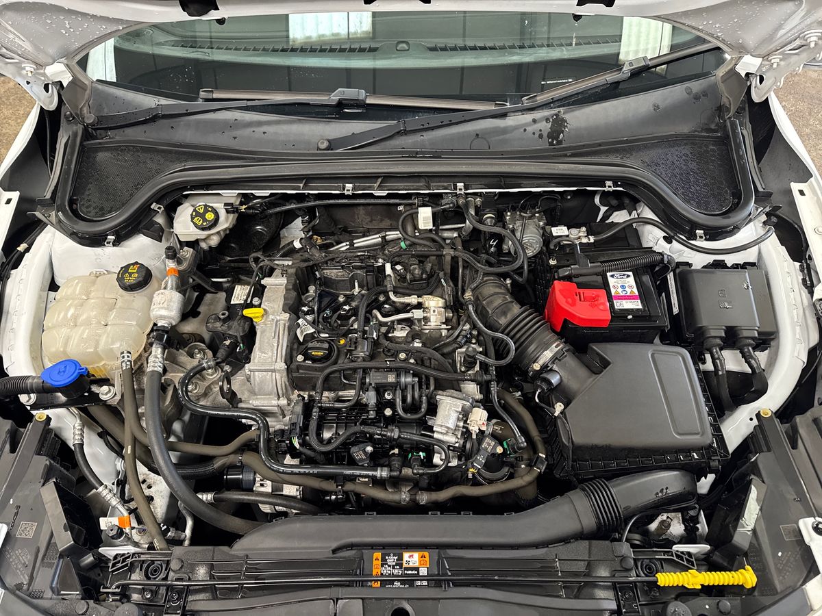 Used Ford Focus 2023 for sale - 78206724: Photo 33