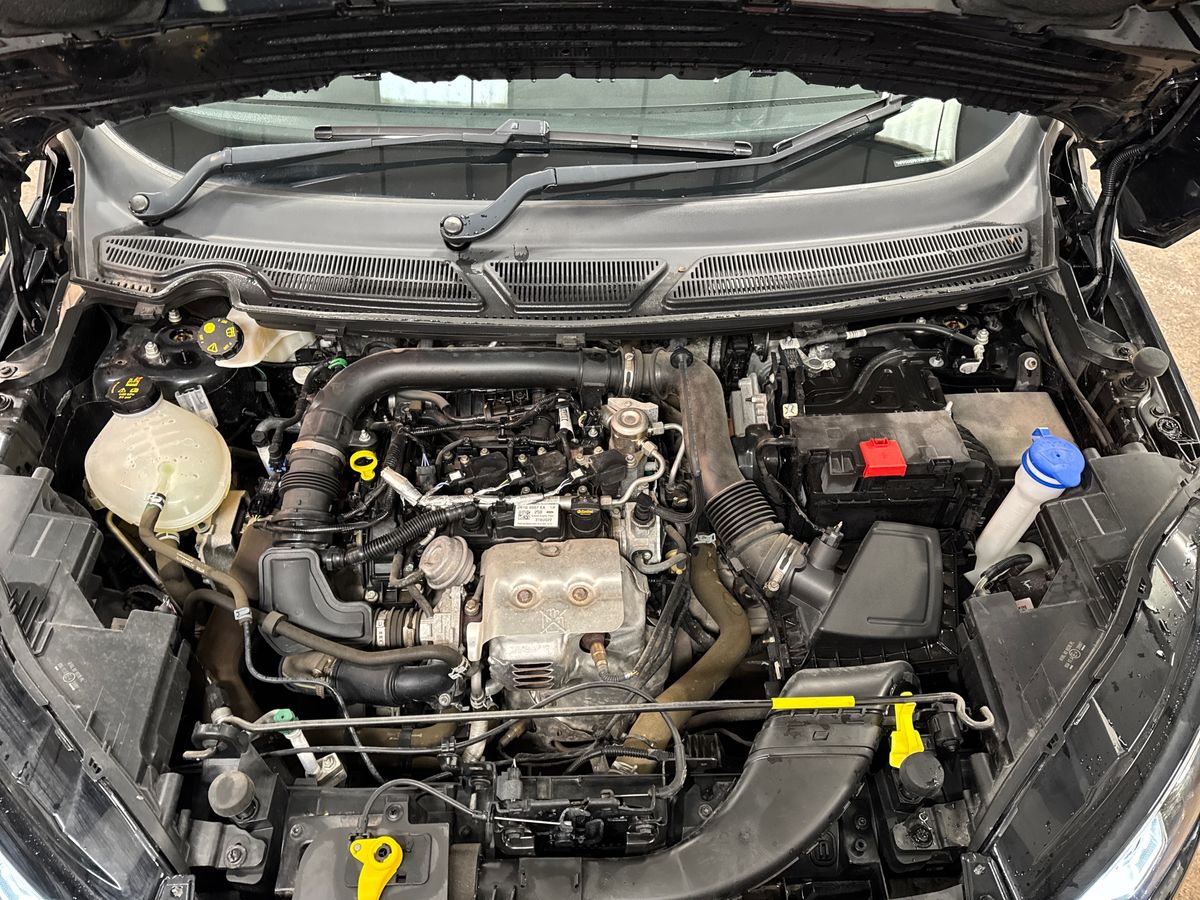 Used Ford Ecosport 2022 for sale - 76717442: Photo 33