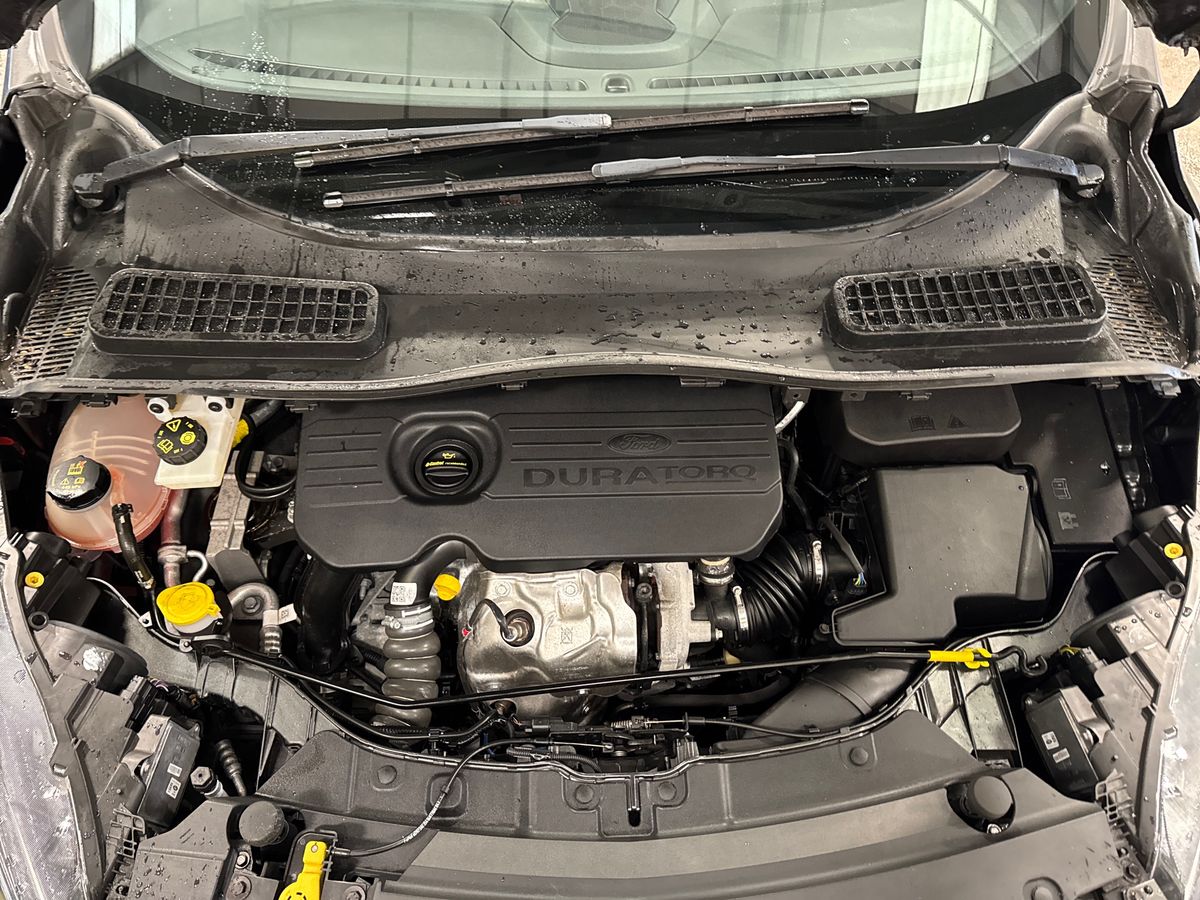 Used Ford Kuga 2019 for sale - 77818891: Photo 33