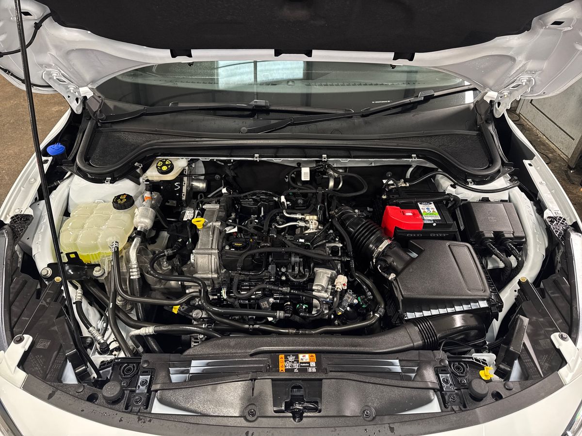 Used Ford Focus 2023 for sale - 75984749: Photo 33