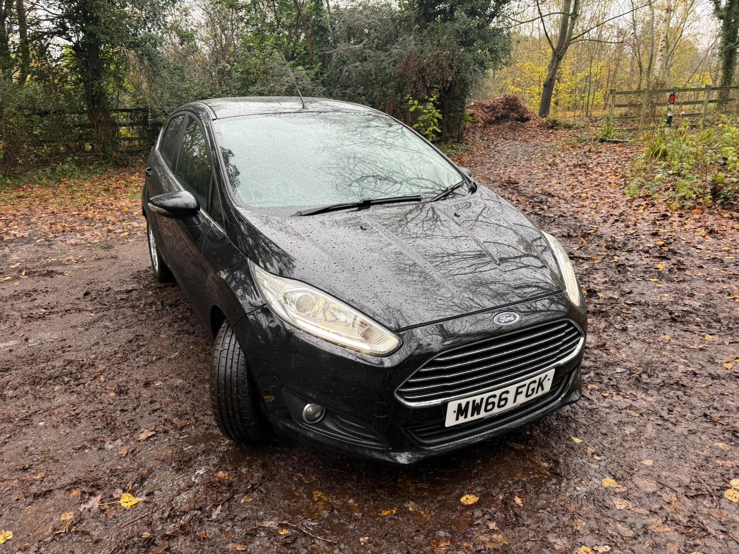Used Ford Fiesta 2016 for sale - 76578397: Photo 11