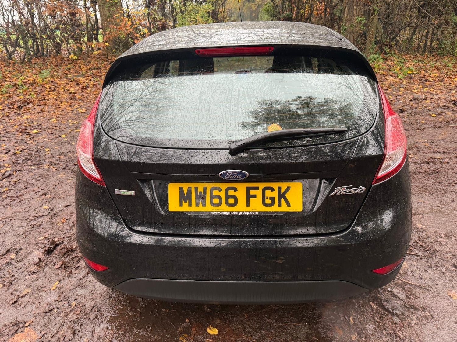 Used Ford Fiesta 2016 for sale - 76578397: Photo 13