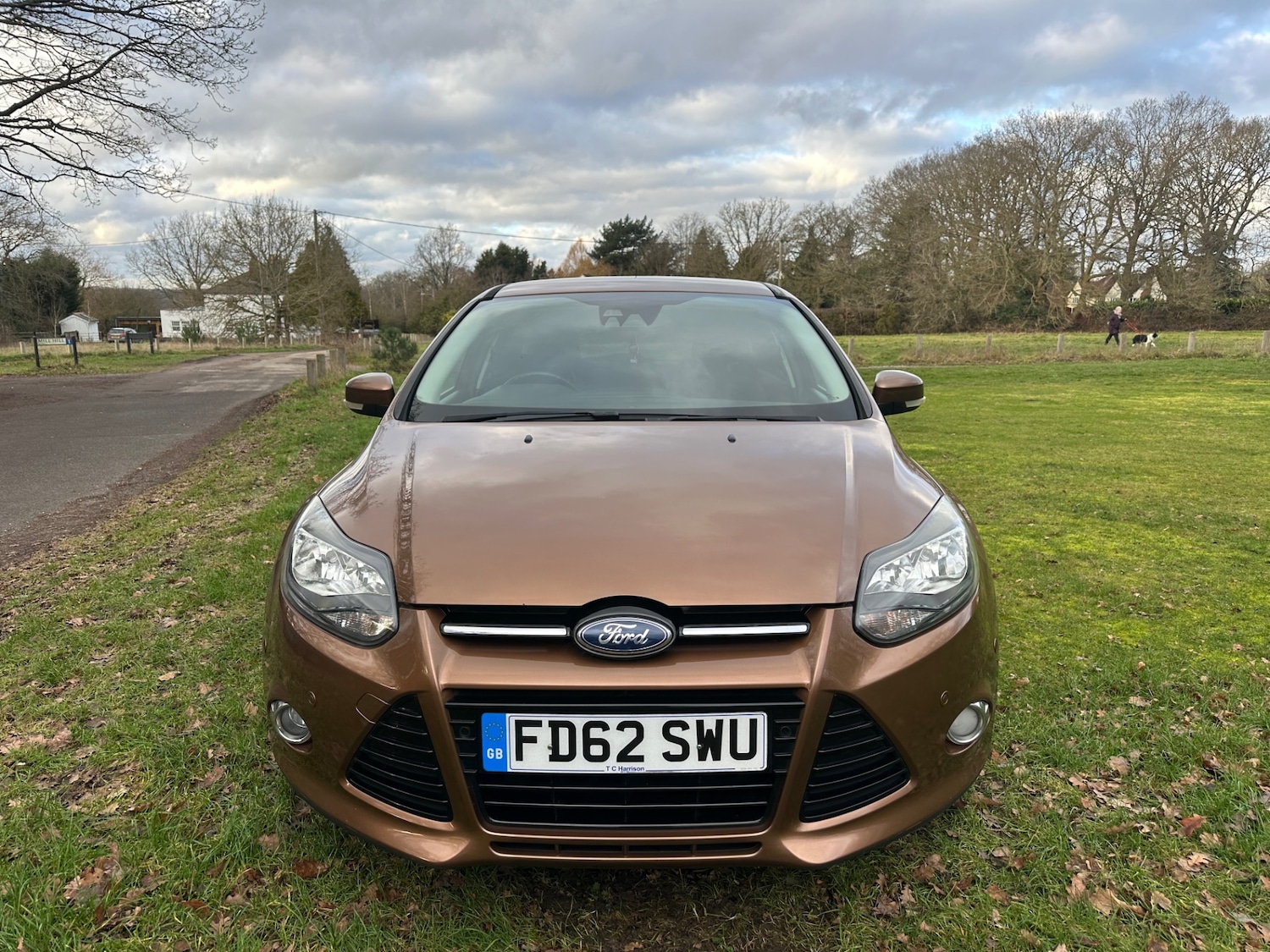 Used Ford Focus 2012 for sale - 77261479: Photo 9