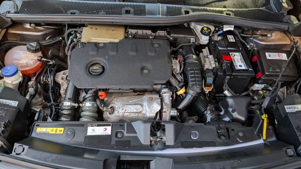 Used Peugeot 2008 2021 for sale - 76962014: Photo 21