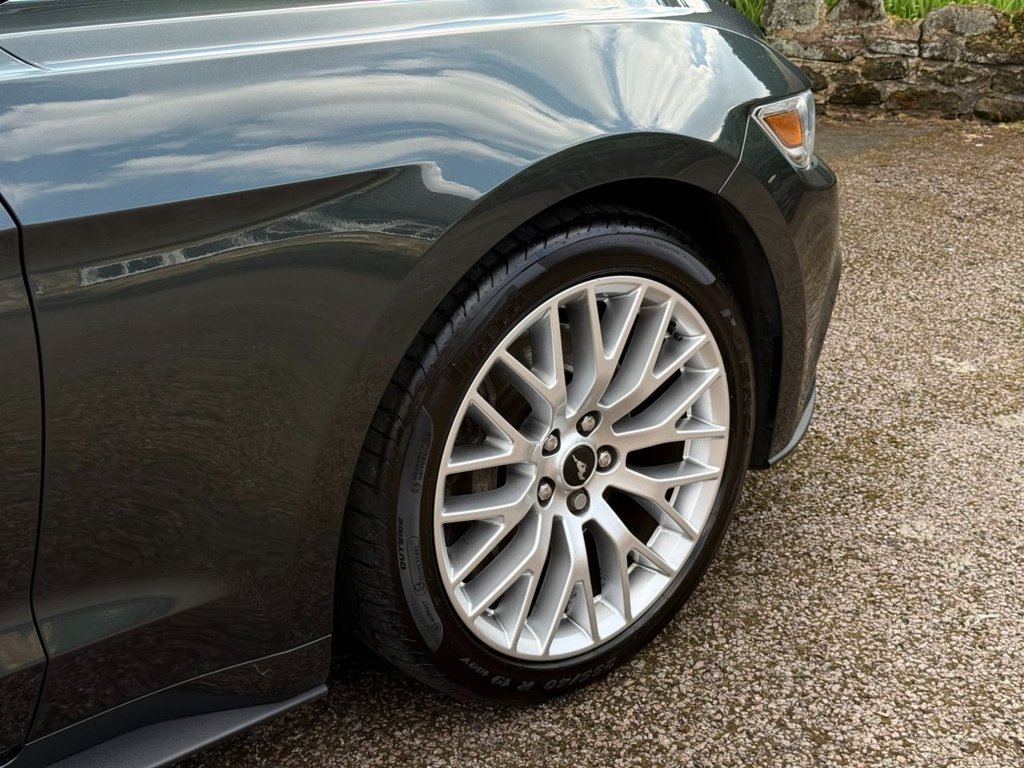 Used Ford Mustang 2016 for sale - 78017104: Photo 24