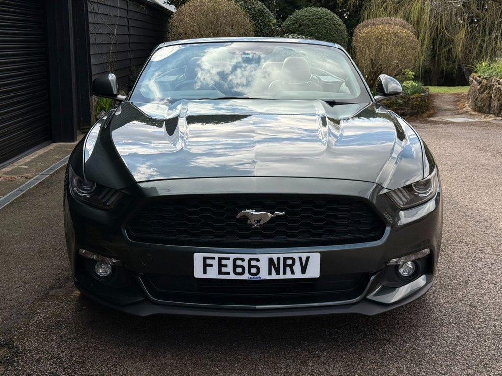 Used Ford Mustang 2016 for sale - 78017104: Photo 3