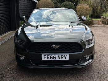 Used Ford Mustang 2016 for sale - 78017104: Photo