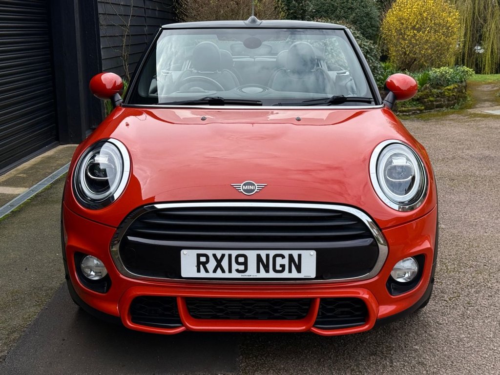 Used MINI Convertible 2019 for sale - 78016901: Photo 6