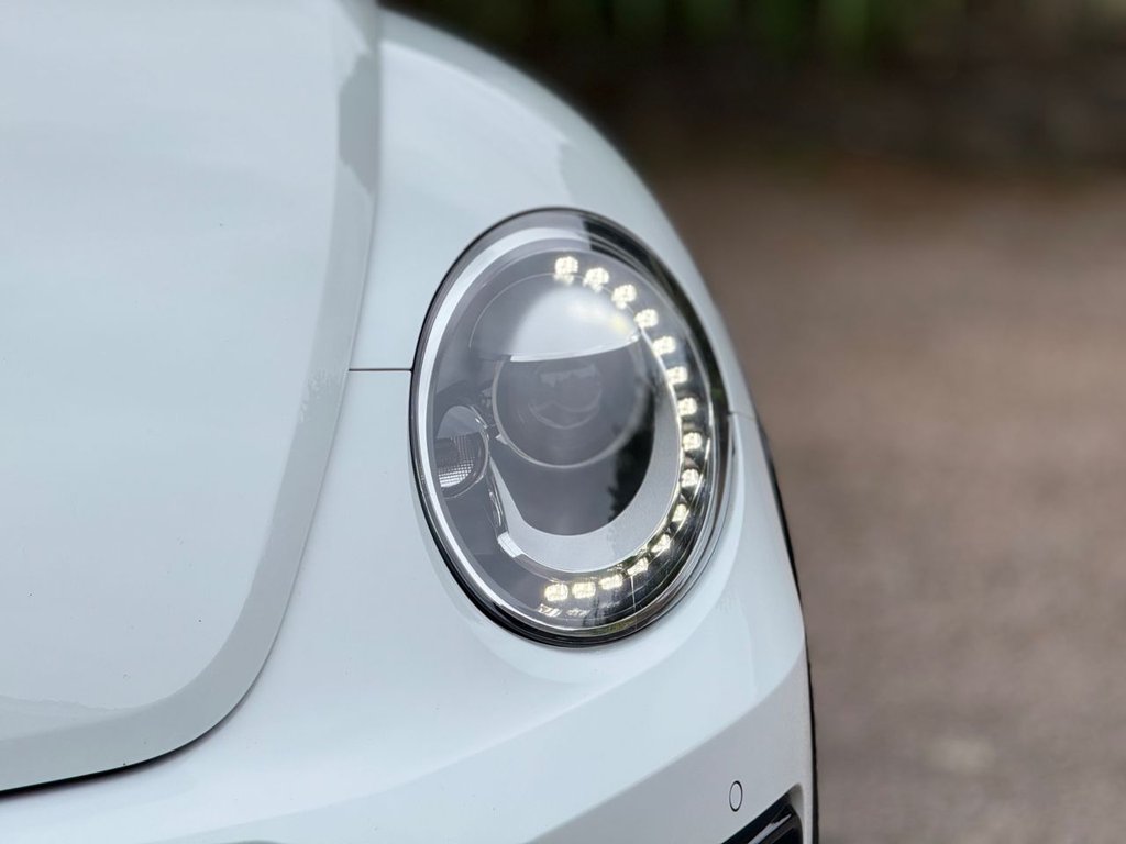 Used Volkswagen Beetle 2017 for sale - 78017124: Photo 13