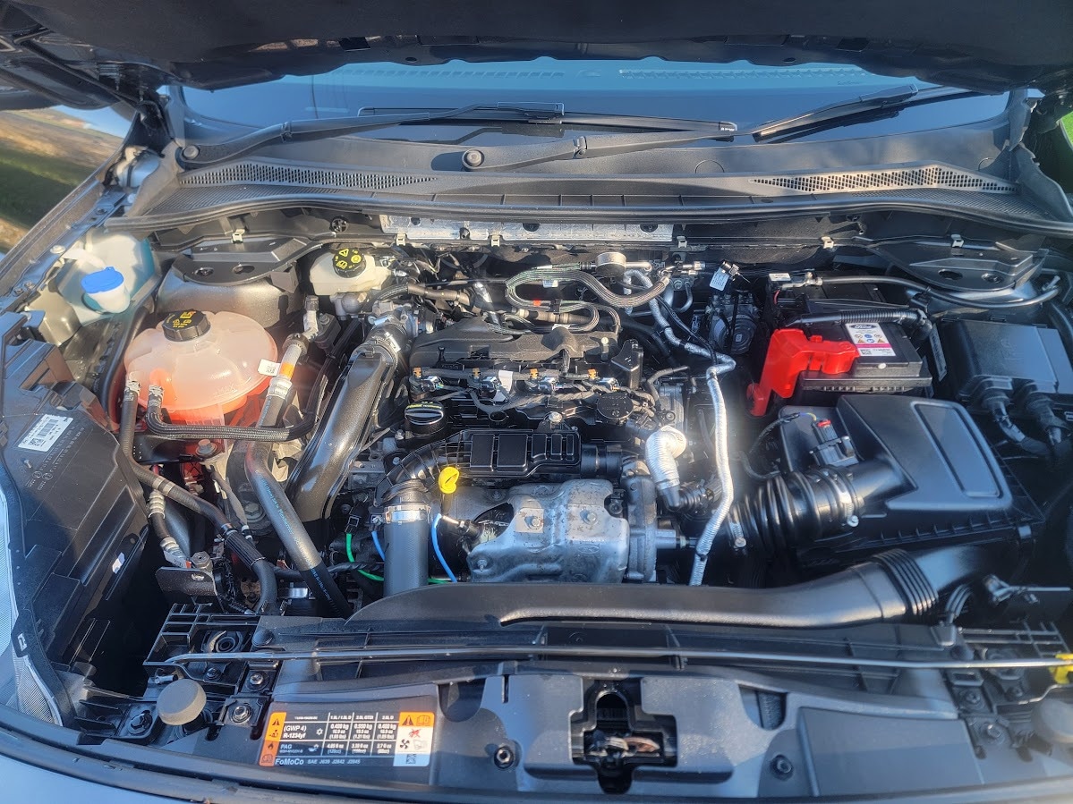 Used Ford Kuga 2021 for sale - 76652291: Photo 10