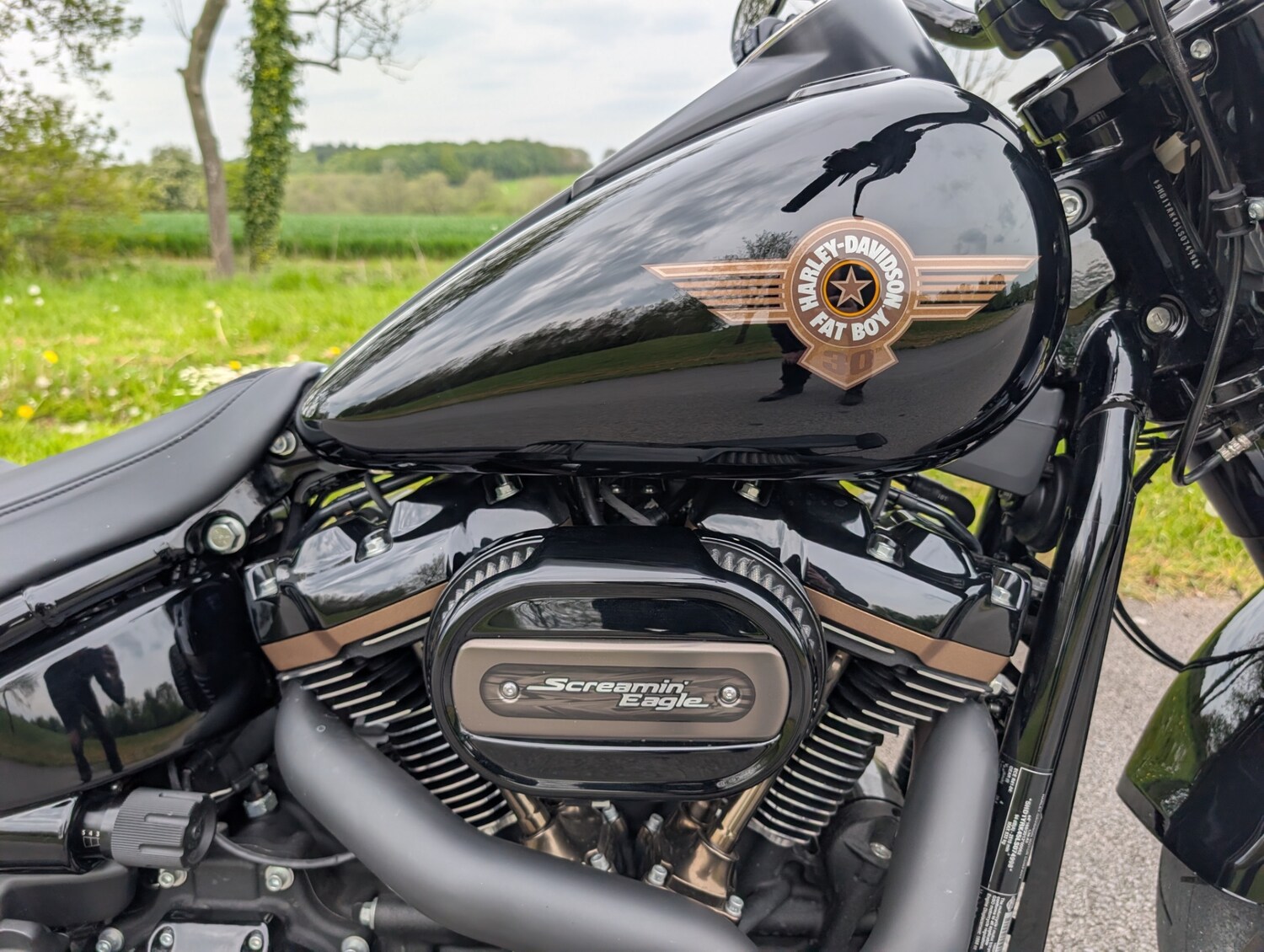 Used Harley-Davidson SOFTAIL FAT BOY 2020 for sale - 78476804: Photo 62