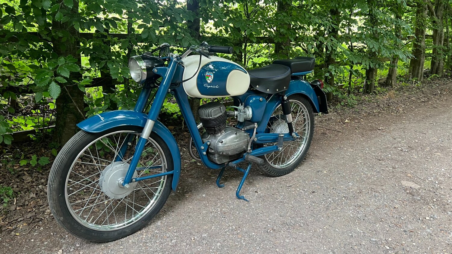 CAPRONI CAPRIOLO TURISMO 75