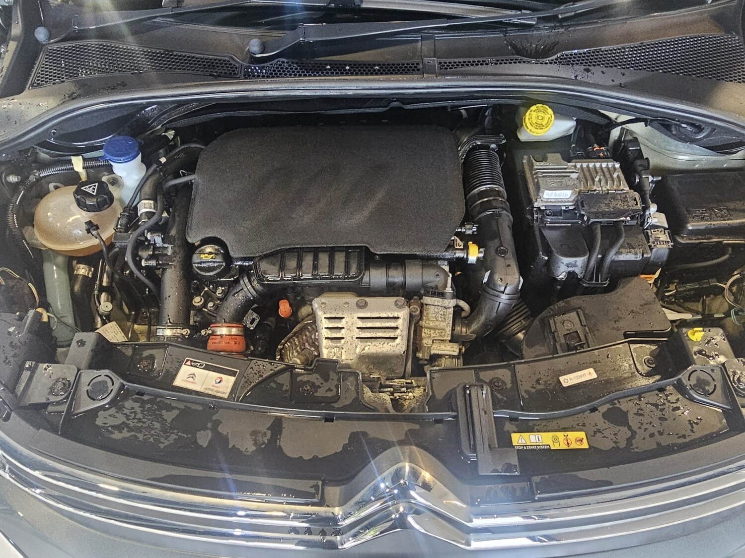 Used Citroen C3 2017 for sale - 78125136: Photo 20