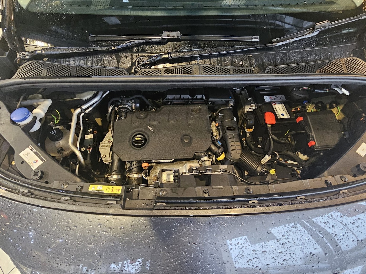 Used Peugeot Partner 2020 for sale - 77289179: Photo 19