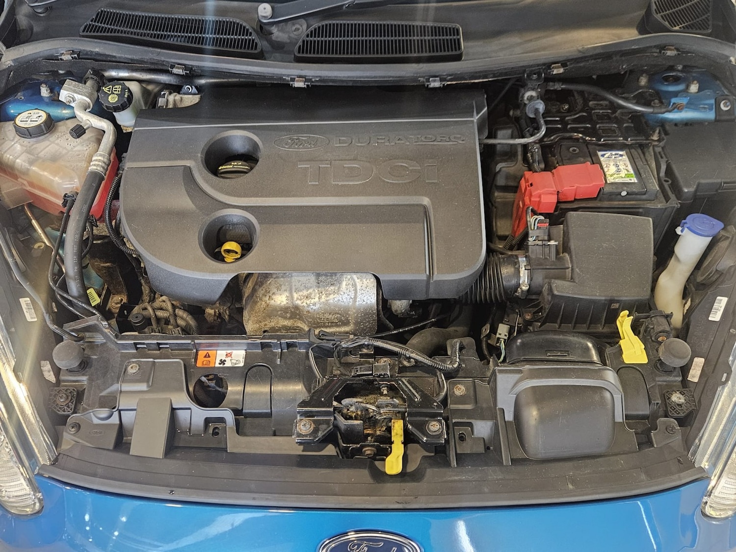 Used Ford Fiesta 2013 for sale - 77953888: Photo 24